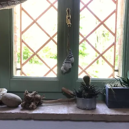 Casa Padronale - Delle Rondini Carignano (Marche)