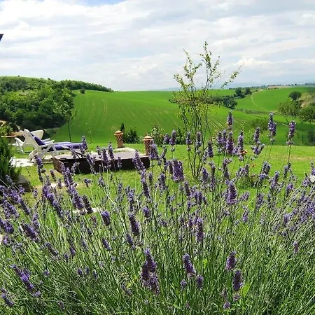 Casa Padronale - Delle Rondini * Carignano