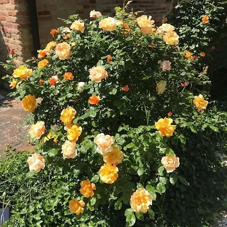 Casa Padronale - Delle Rondini *