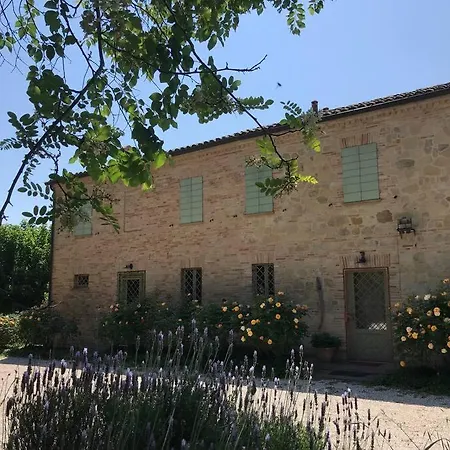 Casa Padronale - Delle Rondini Дом отдыха Carignano (Marche)