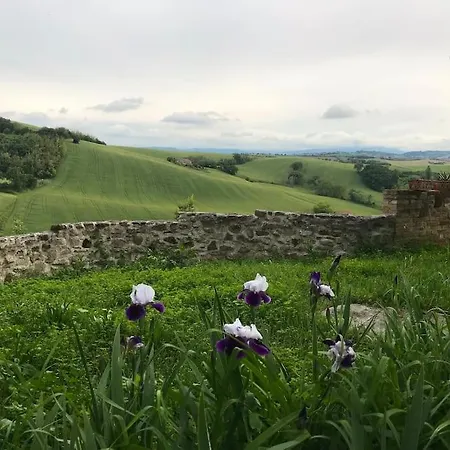 Casa Padronale - Delle Rondini Дом отдыха Carignano (Marche)