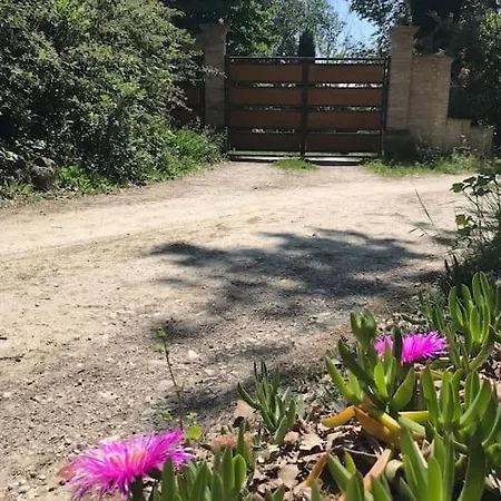 Casa Padronale - Delle Rondini Дом отдыха Carignano (Marche)