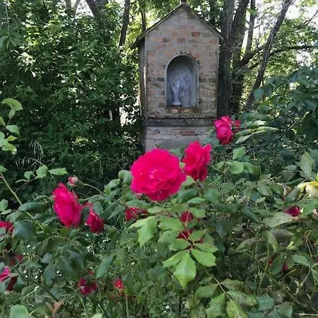 Дом отдыха Casa Padronale - Delle Rondini Carignano (Marche)