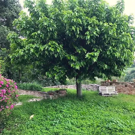 Casa Padronale - Delle Rondini * Carignano