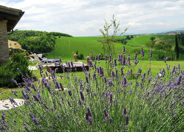 Casa Padronale - Delle Rondini * Carignano (Marche)