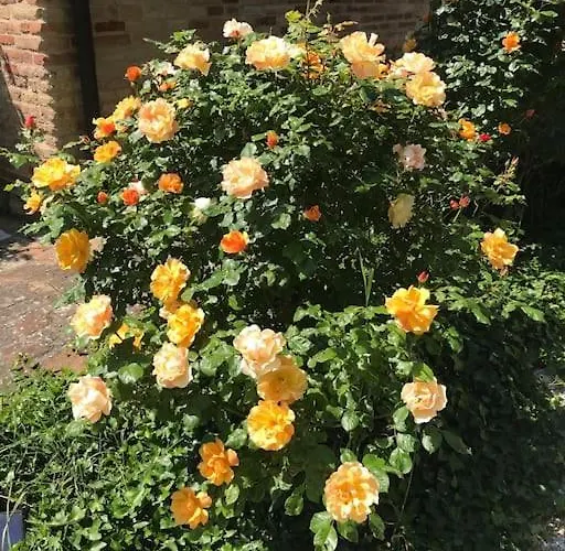 Casa Padronale - Delle Rondini *