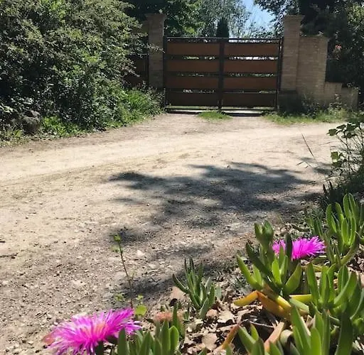 Casa Padronale - Delle Rondini Casa vacanze Carignano (Marche)