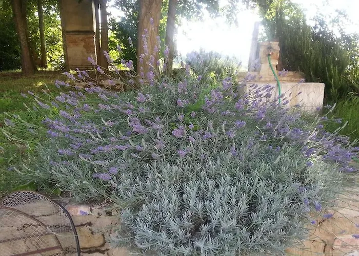 Casa Padronale - Delle Rondini * Carignano (Marche)
