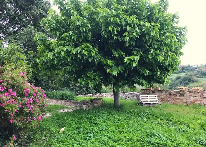 Casa Padronale - Delle Rondini * Carignano (Marche)